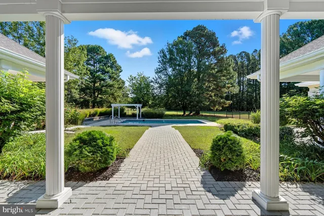 a view of a yard with large trees