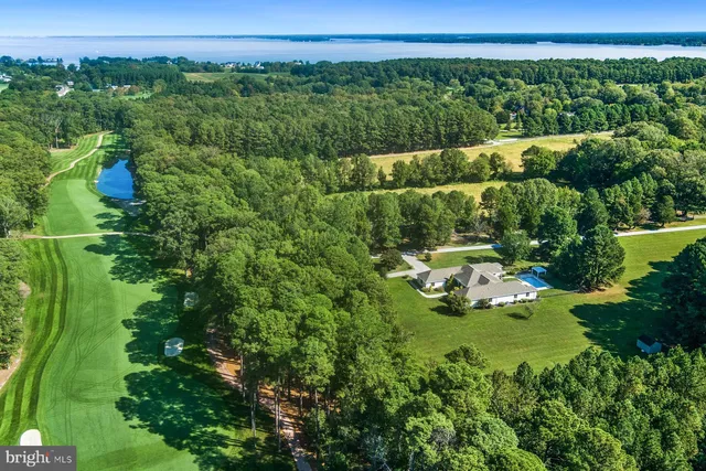 an aerial view of green landscape with trees houses and lake view