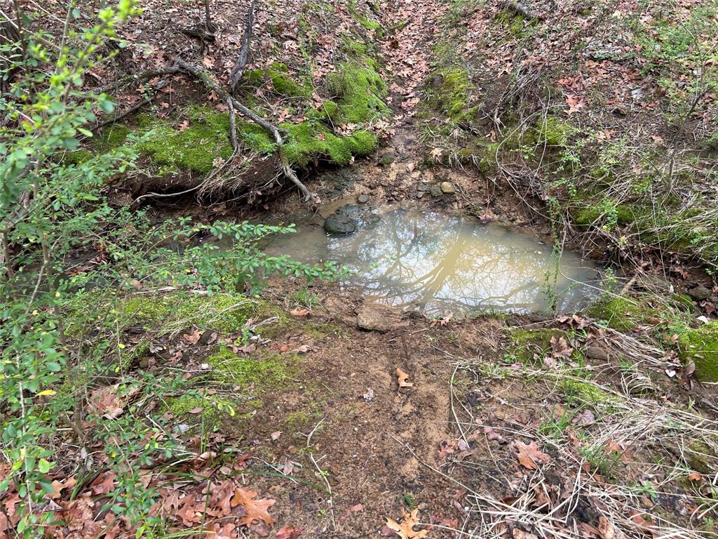 2112 Peterson Road Denison, TX 75021 - Photo 2 of 12