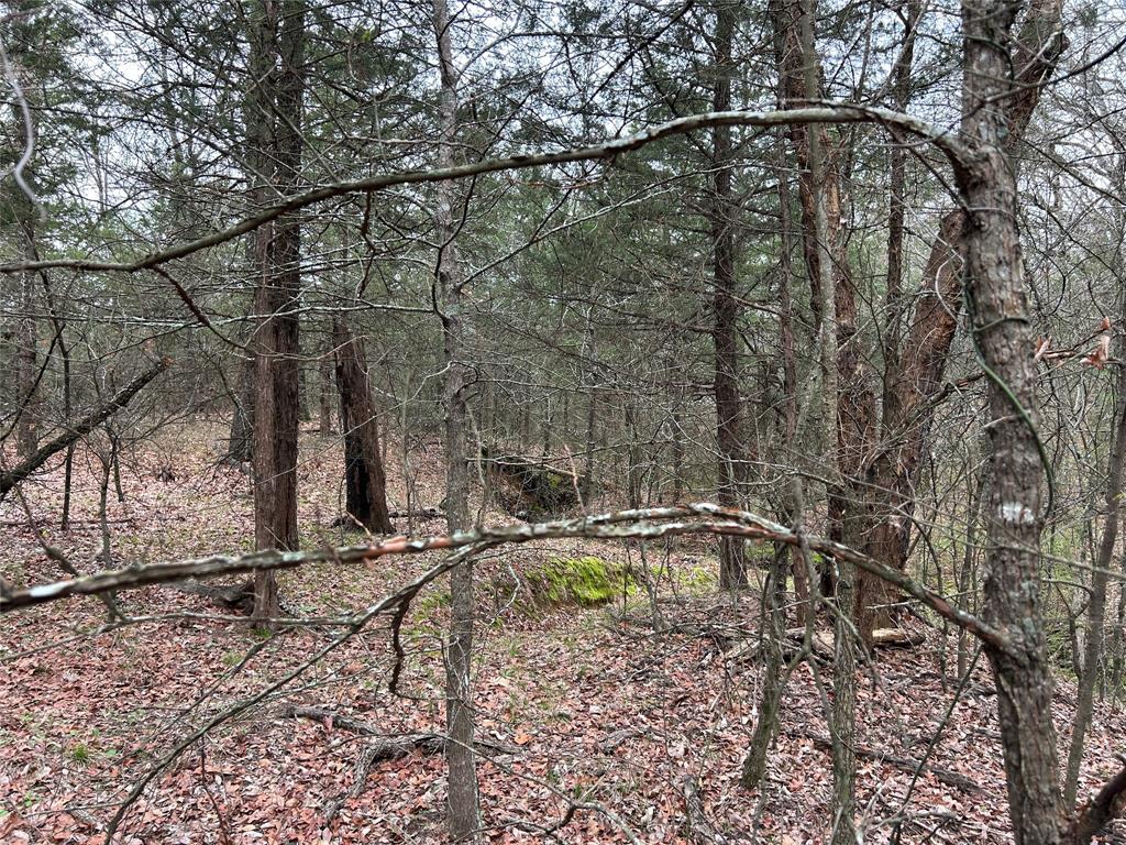 2112 Peterson Road Denison, TX 75021 - Photo 9 of 12