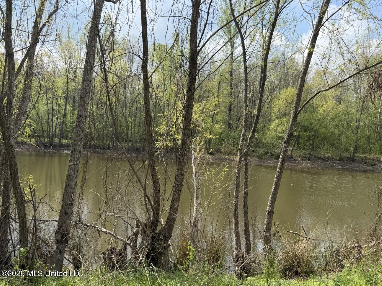 3882 Henderson Road Jackson, MS 39212 - Photo 12 of 13 Photo Mar 26 2026, 10 39 03 AM