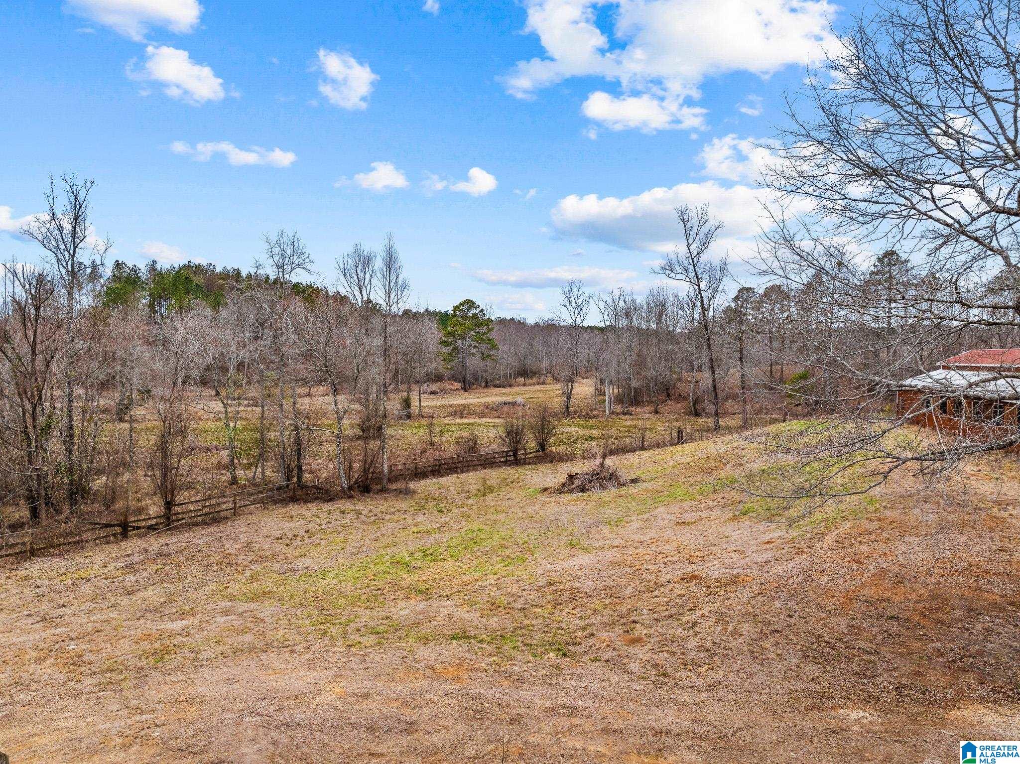 2885 McKay Road Delta, AL 36258 - Photo 56 of 56