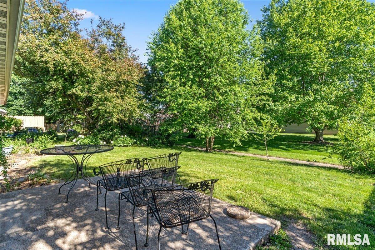 218 Eagle Ridge Drive Chatham, IL 62629 - Photo 17 of 19
