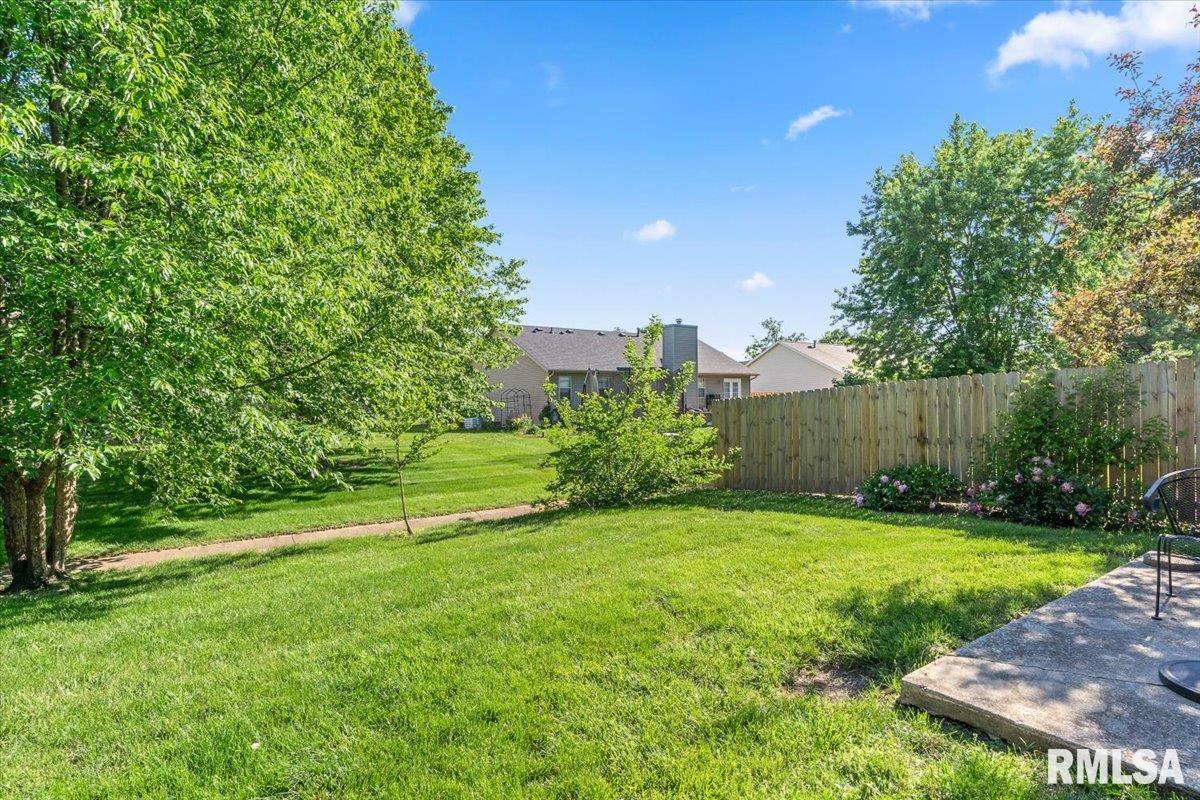 218 Eagle Ridge Drive Chatham, IL 62629 - Photo 18 of 19