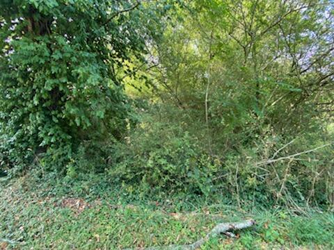 0 Cherry Road Sparta, TN 38583 - Photo 1 of 6 1