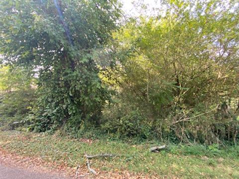 0 Cherry Road Sparta, TN 38583 - Photo 2 of 6 2