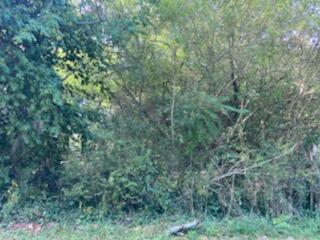 0 Cherry Road Sparta, TN 38583 - Photo 3 of 6 3
