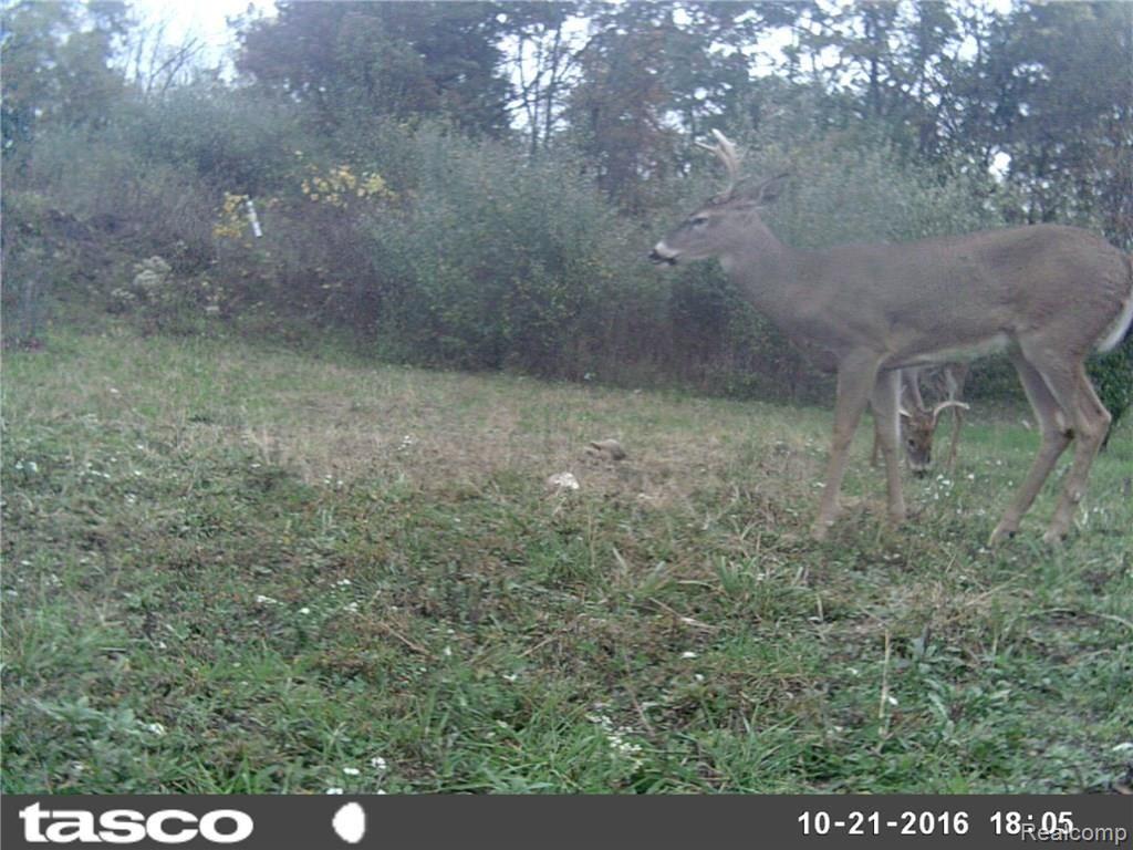 Na Moscow Road Jonesville, MI 49250 - Photo 30 of 36