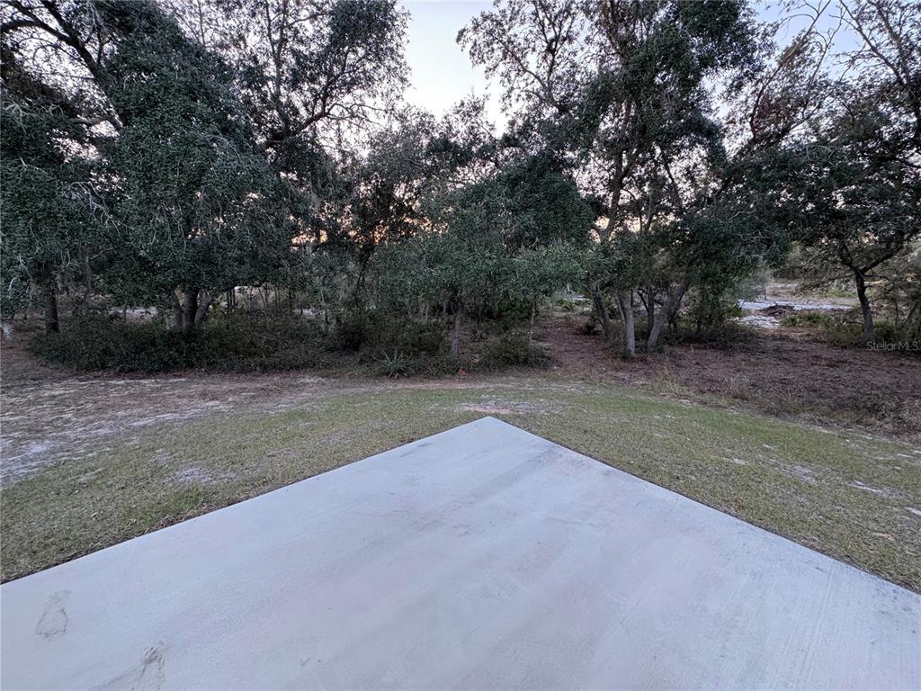 2134 R E Byrd Road Frostproof, FL 33843 - Photo 43 of 54 a view of a yard with a trees