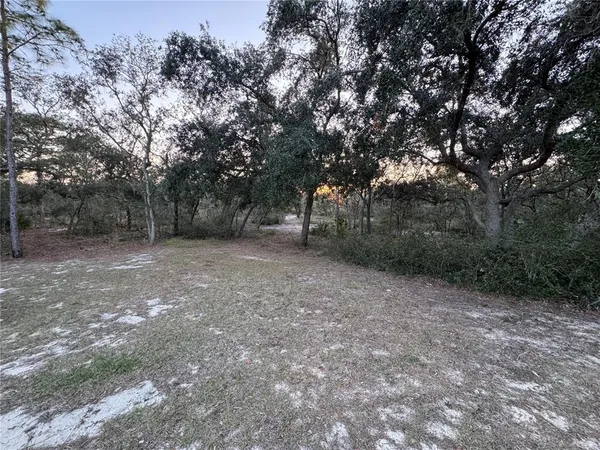 a view of outdoor space with trees all around