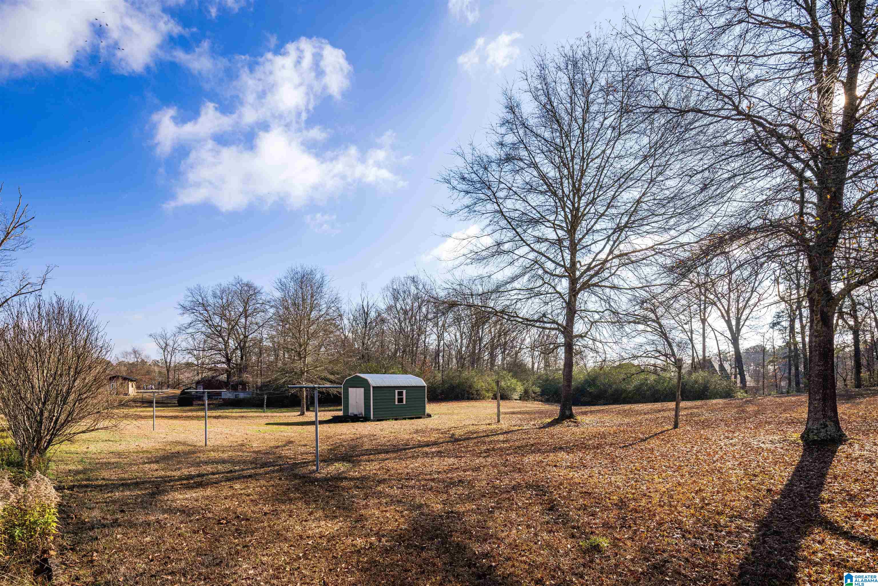 1263 Morris Majestic Road Morris, AL 35116 - Photo 38 of 39