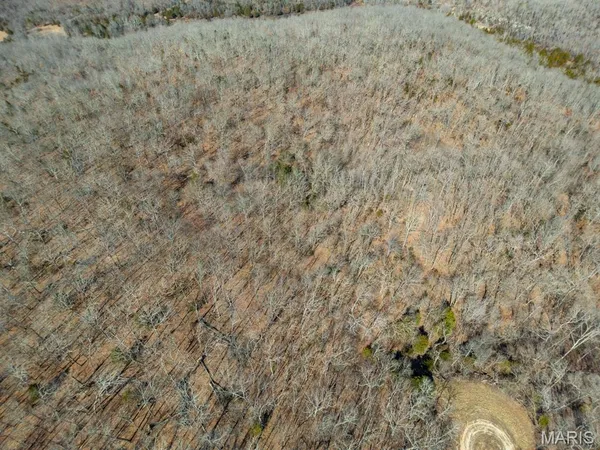 $599,900 | 15799 County Road 7200, Rolla, MO 65401