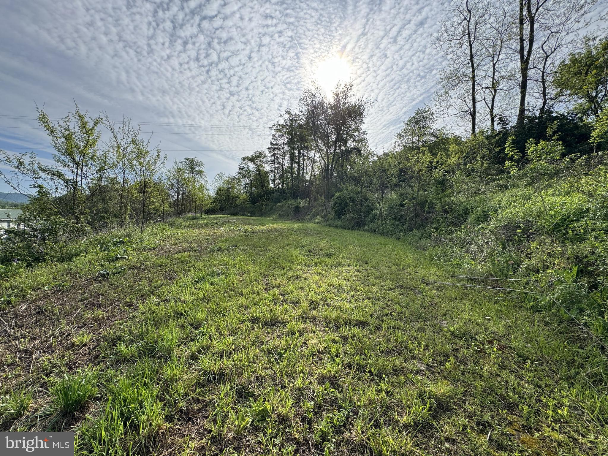 2781 Buffalo Run Road Bellefonte, PA 16823 - Photo 4 of 17 a view of a field with a tree