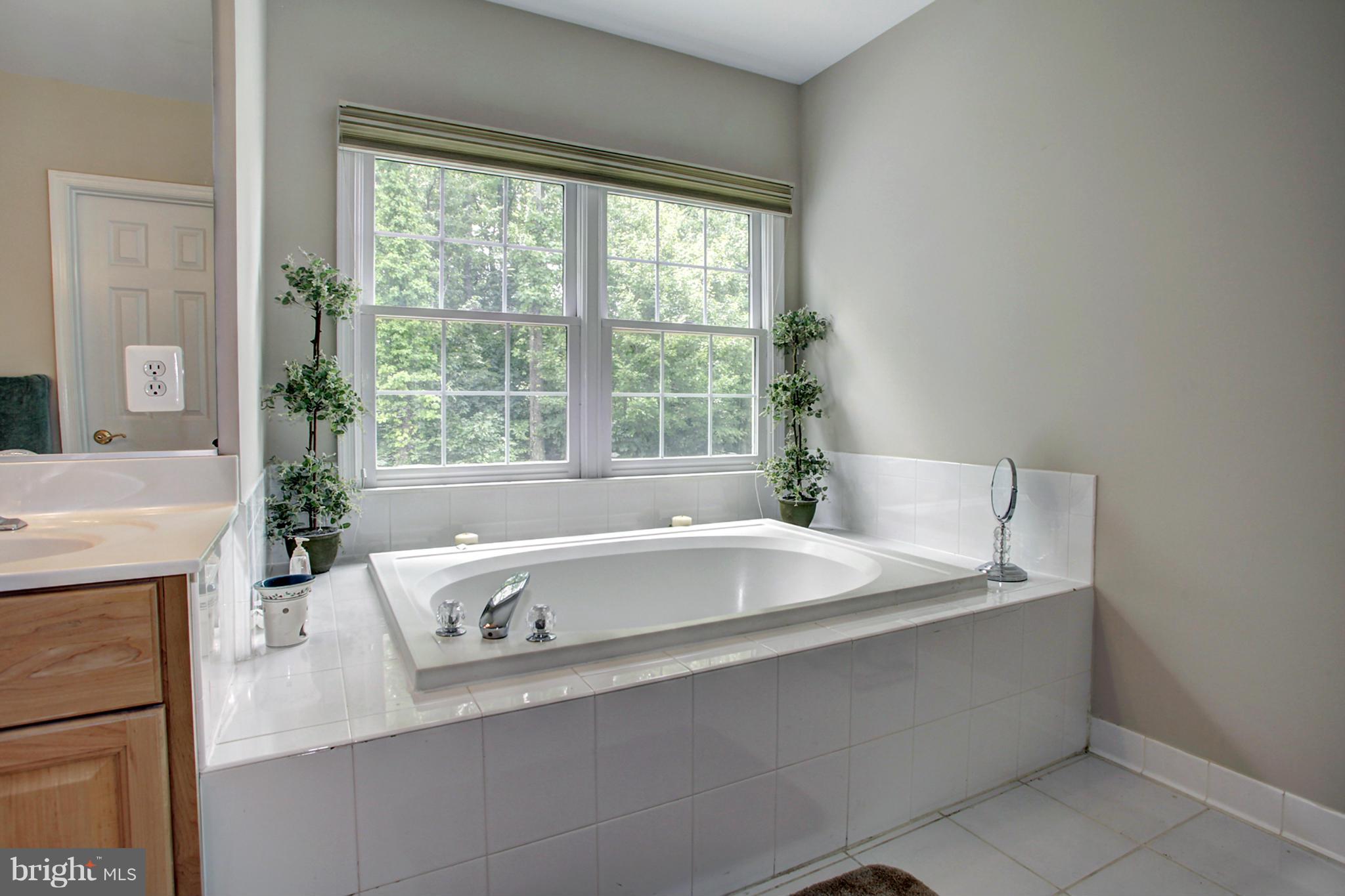 1013 Heartfields Drive Silver Spring, MD 20904 - Photo 12 of 27 Bath (Master)