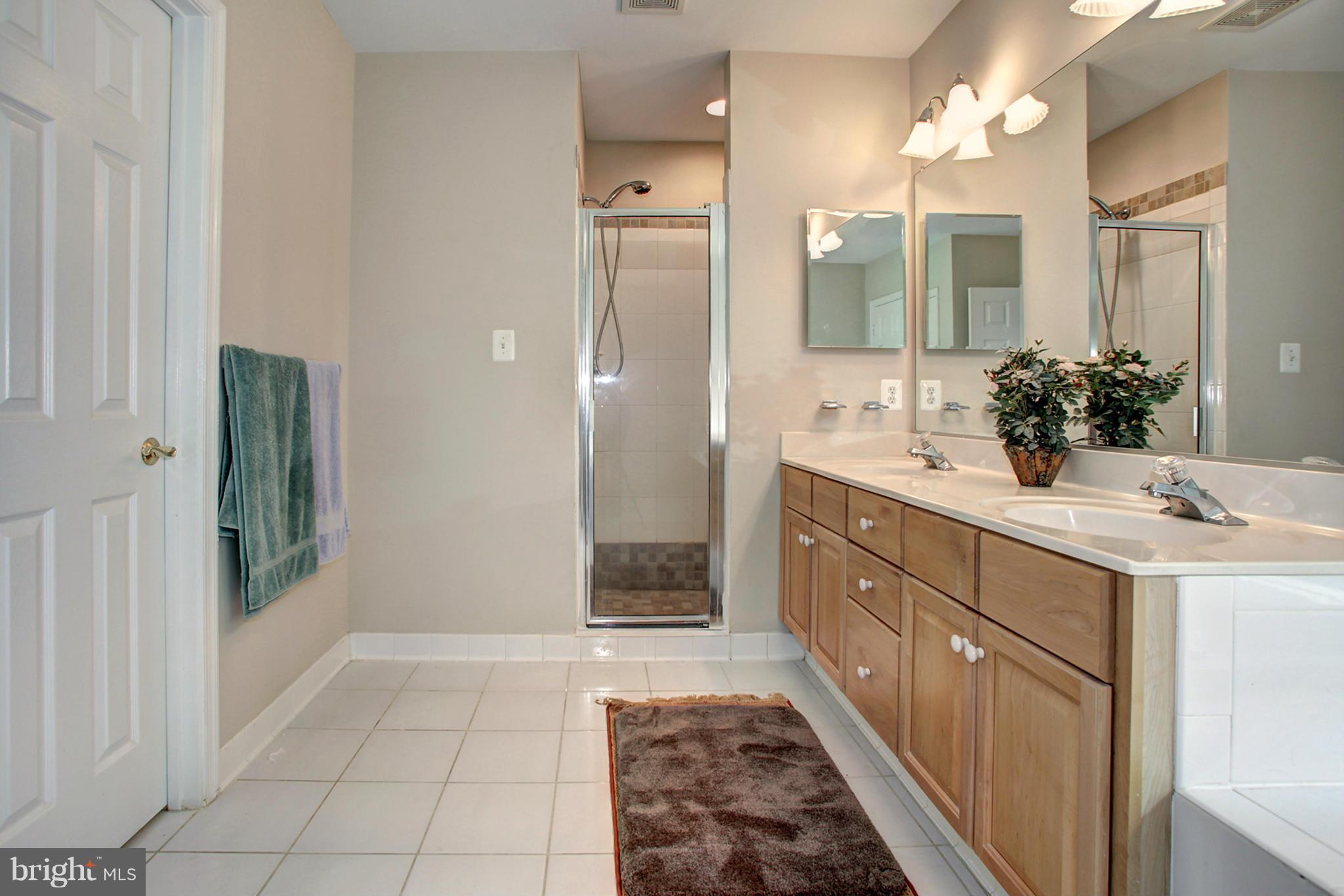 1013 Heartfields Drive Silver Spring, MD 20904 - Photo 13 of 27 Bath (Master)