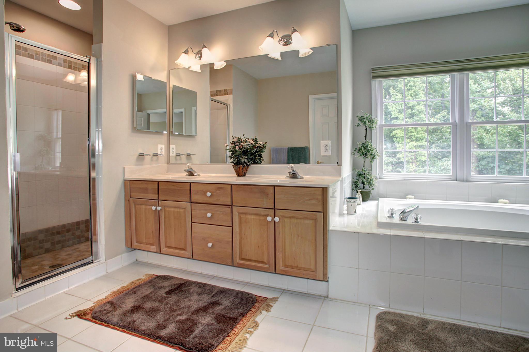 1013 Heartfields Drive Silver Spring, MD 20904 - Photo 14 of 27 Bath (Master)