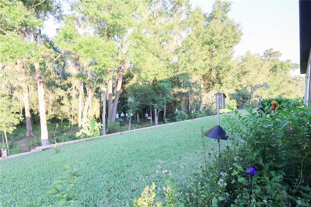 19511 Southwest 77th Loop Dunnellon, FL 34432 - Photo 26 of 27 a view of a yard with a tree