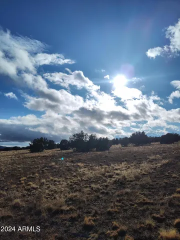 a view of a big yard