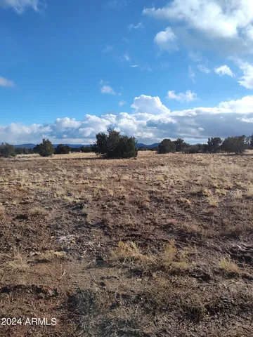 a view of lot of trees