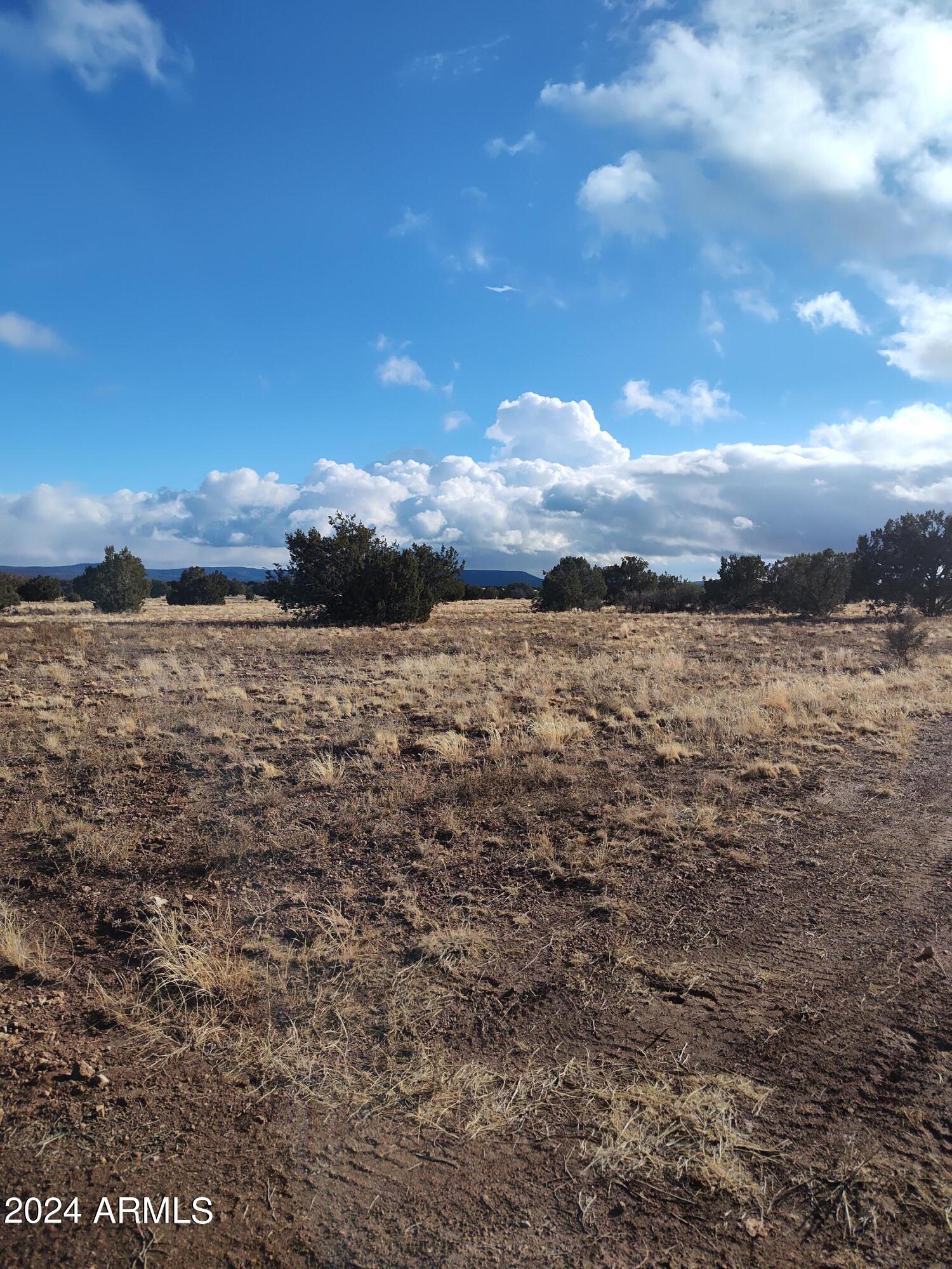 0 Xxxx Road, Unit 53 Ash Fork, AZ 86320 - Photo 8 of 12