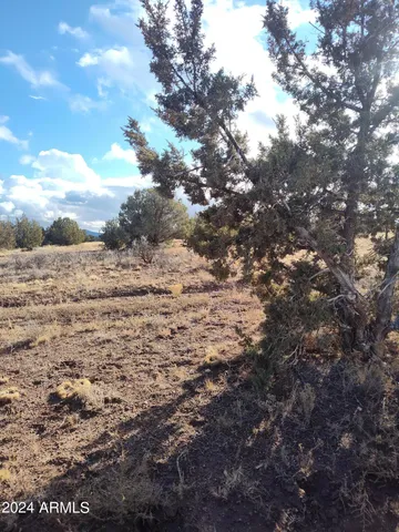 $80,000 | 0 Bullock Road, Unit 53, Ash Fork, AZ 86320