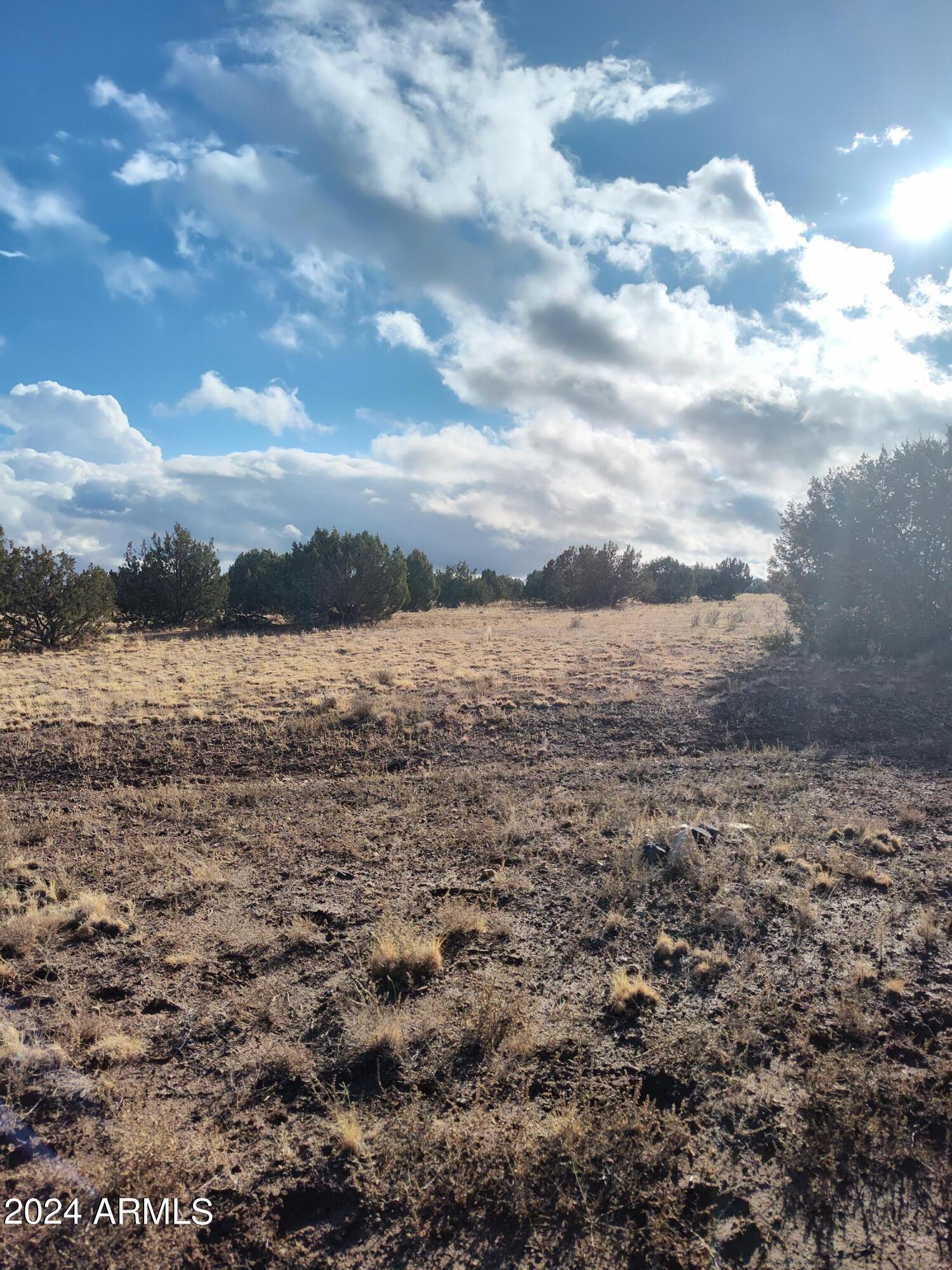 0 Xxxx Road, Unit 53 Ash Fork, AZ 86320 - Photo 10 of 12 a view of lake view