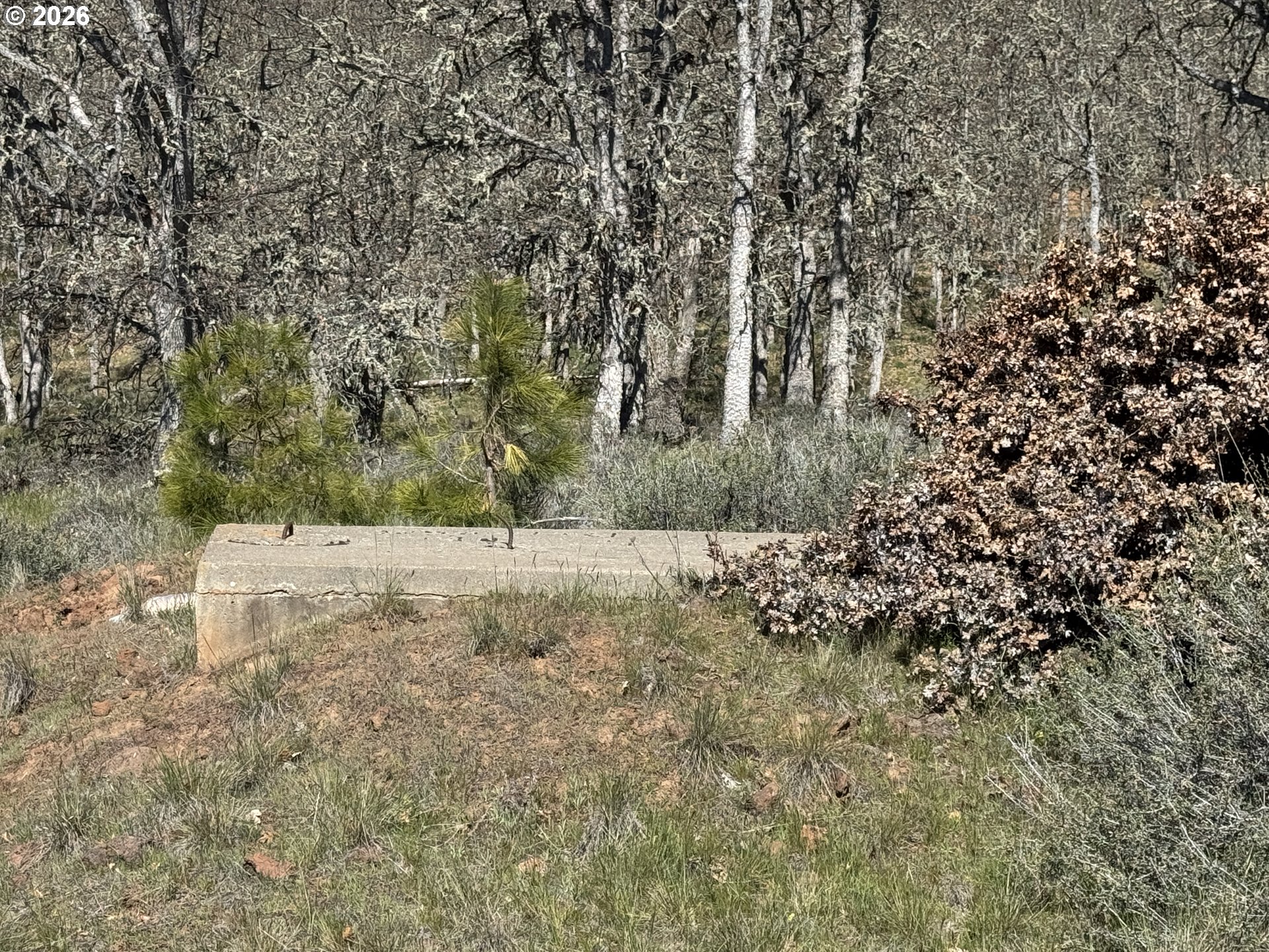 65 Red Cedar Goldendale, WA 98620 - Photo 6 of 20