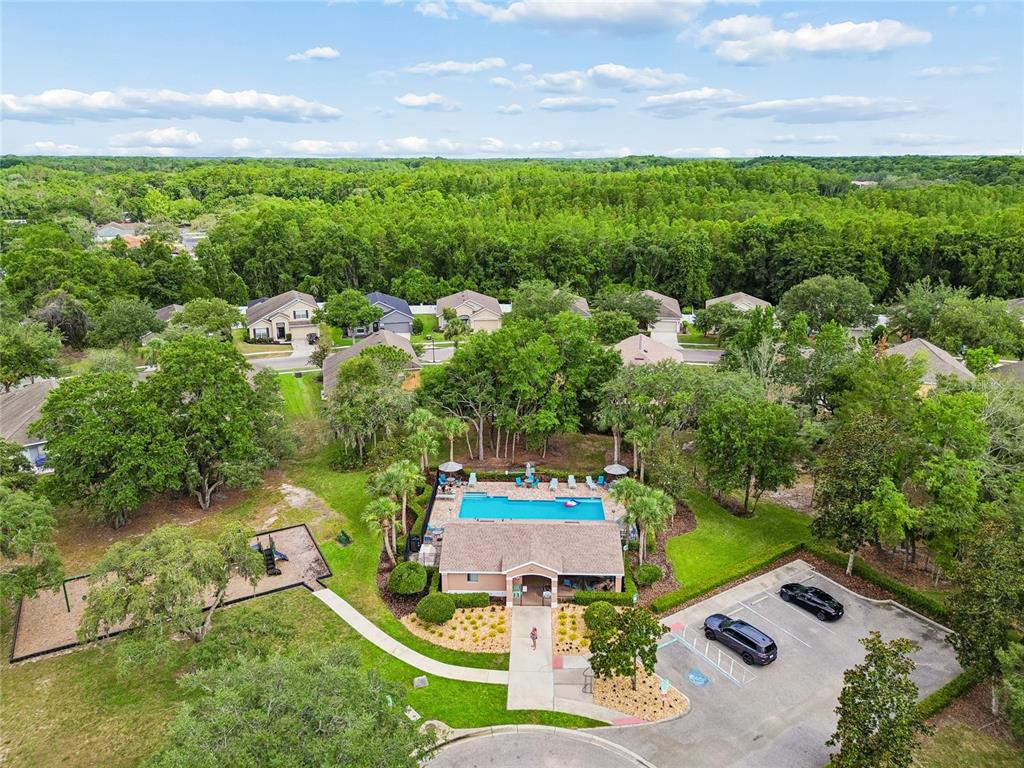 12155 Infinity Drive New Port Richey, FL 34654 - Photo 69 of 75
