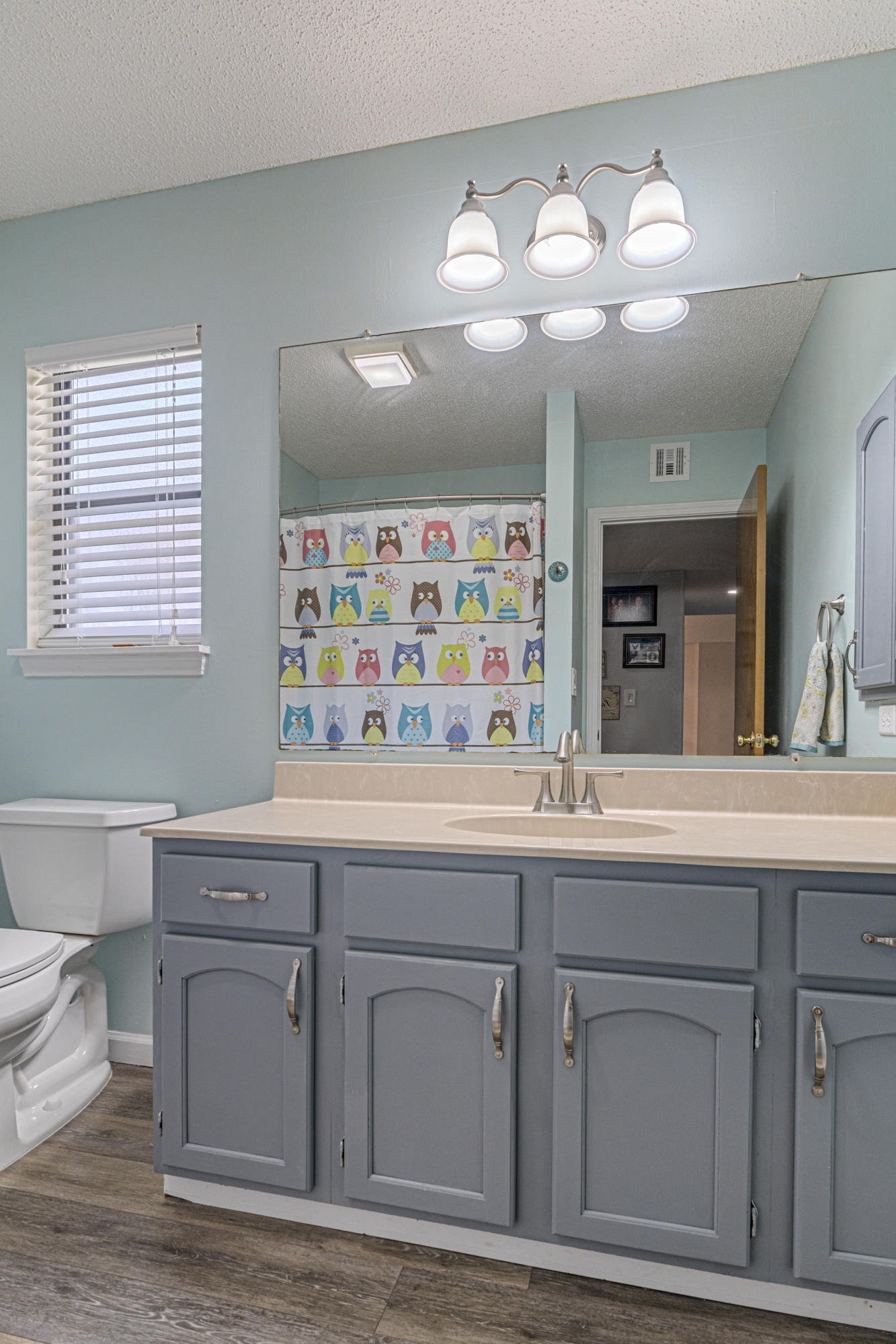 520 Springwood Way Niceville, FL 32578 - Photo 4 of 5 a bathroom with a sink a large mirror and a light fixture