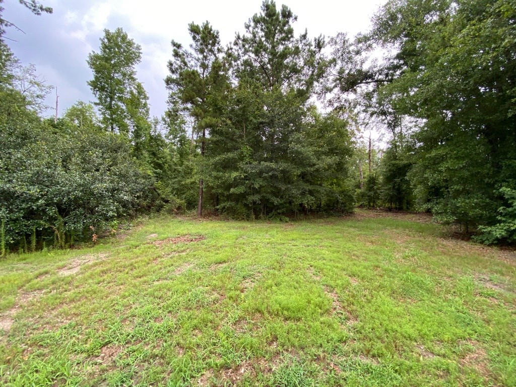 2242 Coot Adams Road Ashford, AL 36312 - Photo 20 of 39