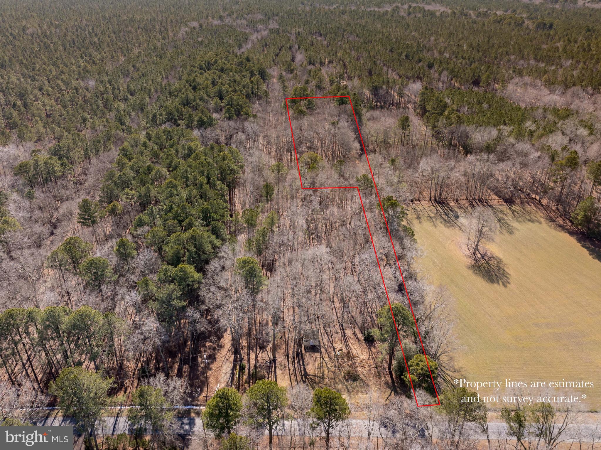 0 Polks Road Princess Anne, MD 21853 - Photo 1 of 18