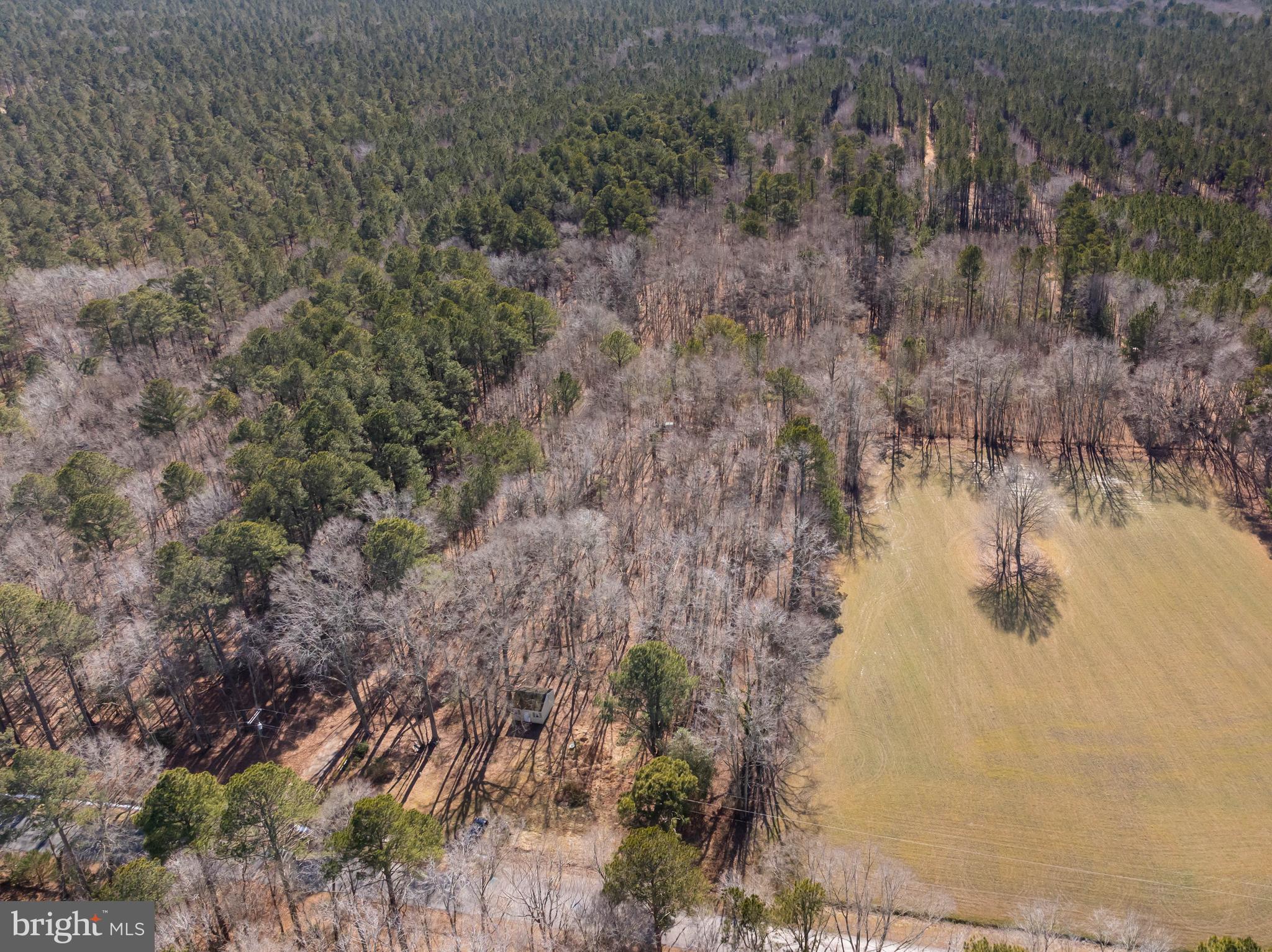 0 Polks Road Princess Anne, MD 21853 - Photo 11 of 18