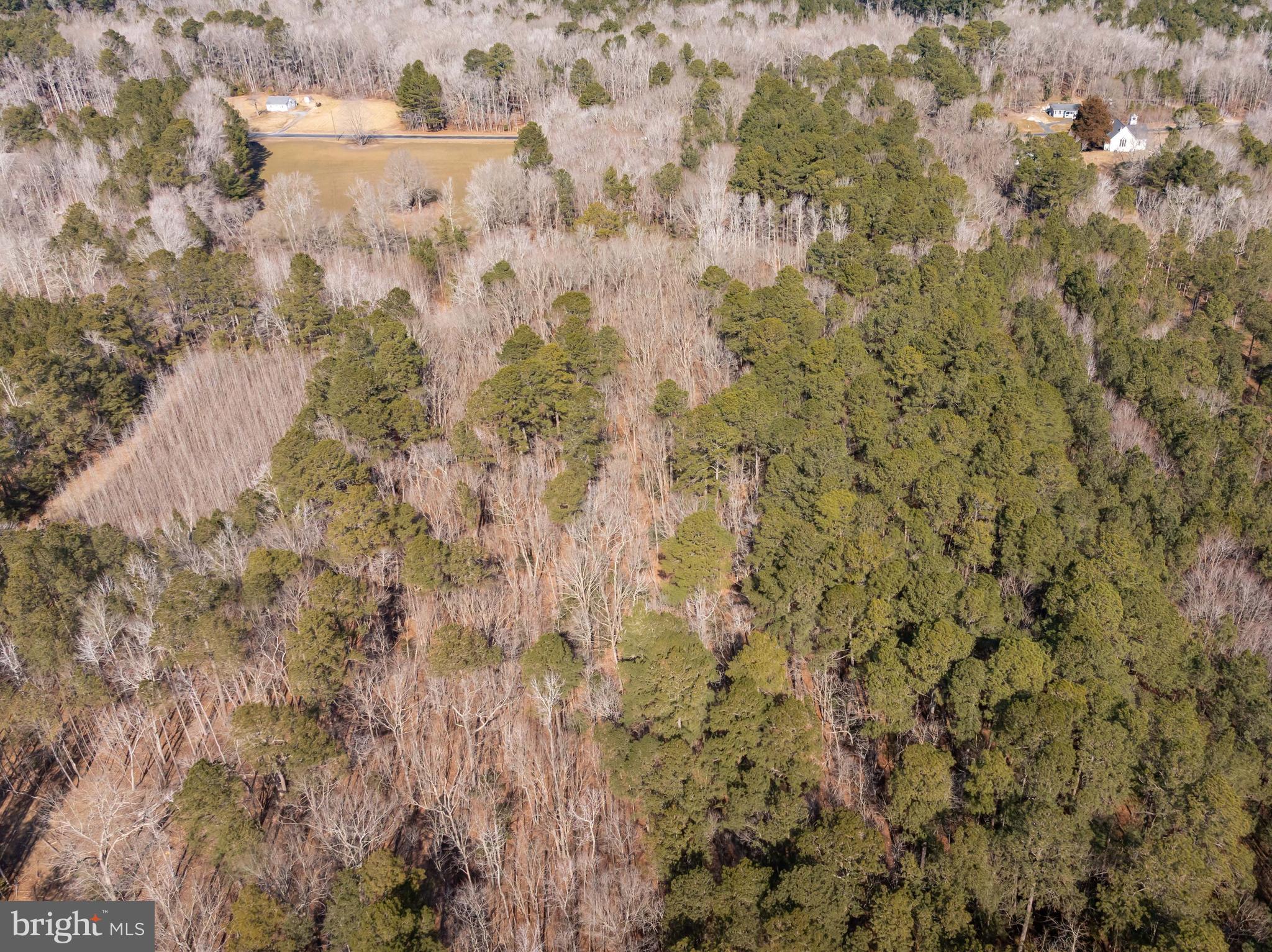 0 Polks Road Princess Anne, MD 21853 - Photo 16 of 18