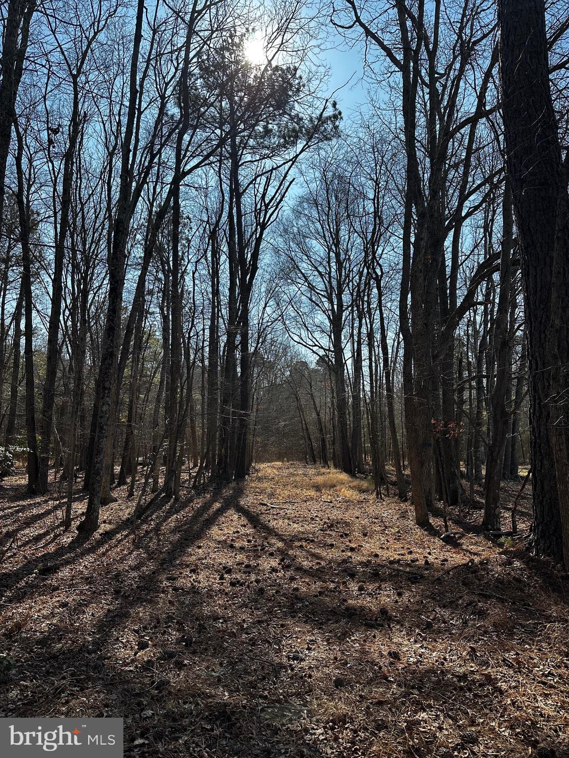 0 Polks Road Princess Anne, MD 21853 - Photo 18 of 18