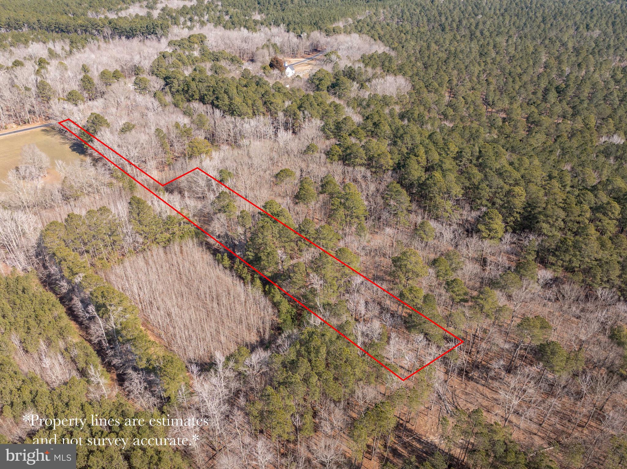0 Polks Road Princess Anne, MD 21853 - Photo 2 of 18
