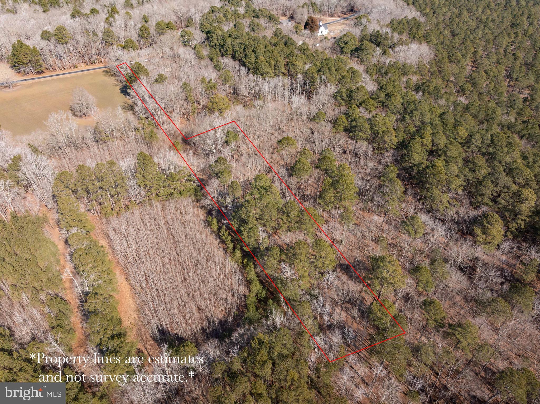 0 Polks Road Princess Anne, MD 21853 - Photo 3 of 18