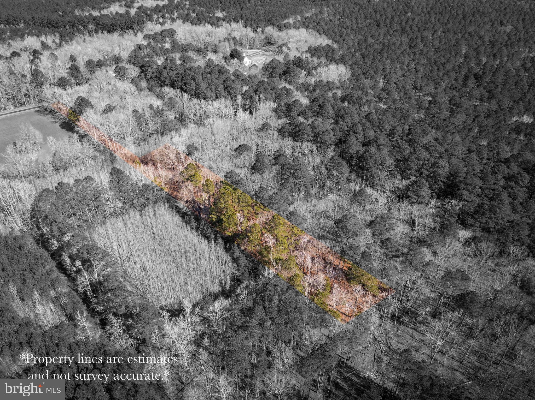 0 Polks Road Princess Anne, MD 21853 - Photo 5 of 18