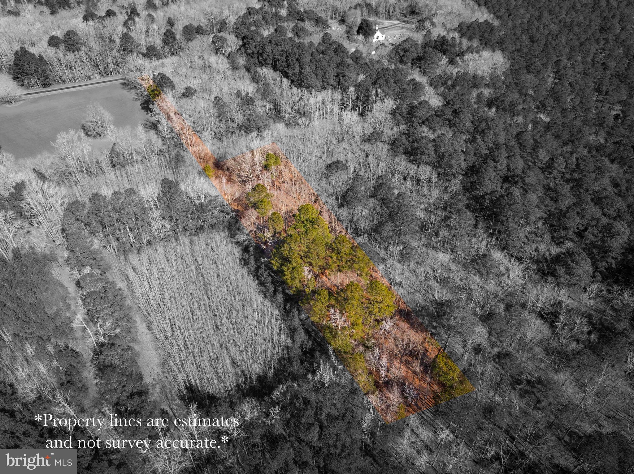 0 Polks Road Princess Anne, MD 21853 - Photo 6 of 18