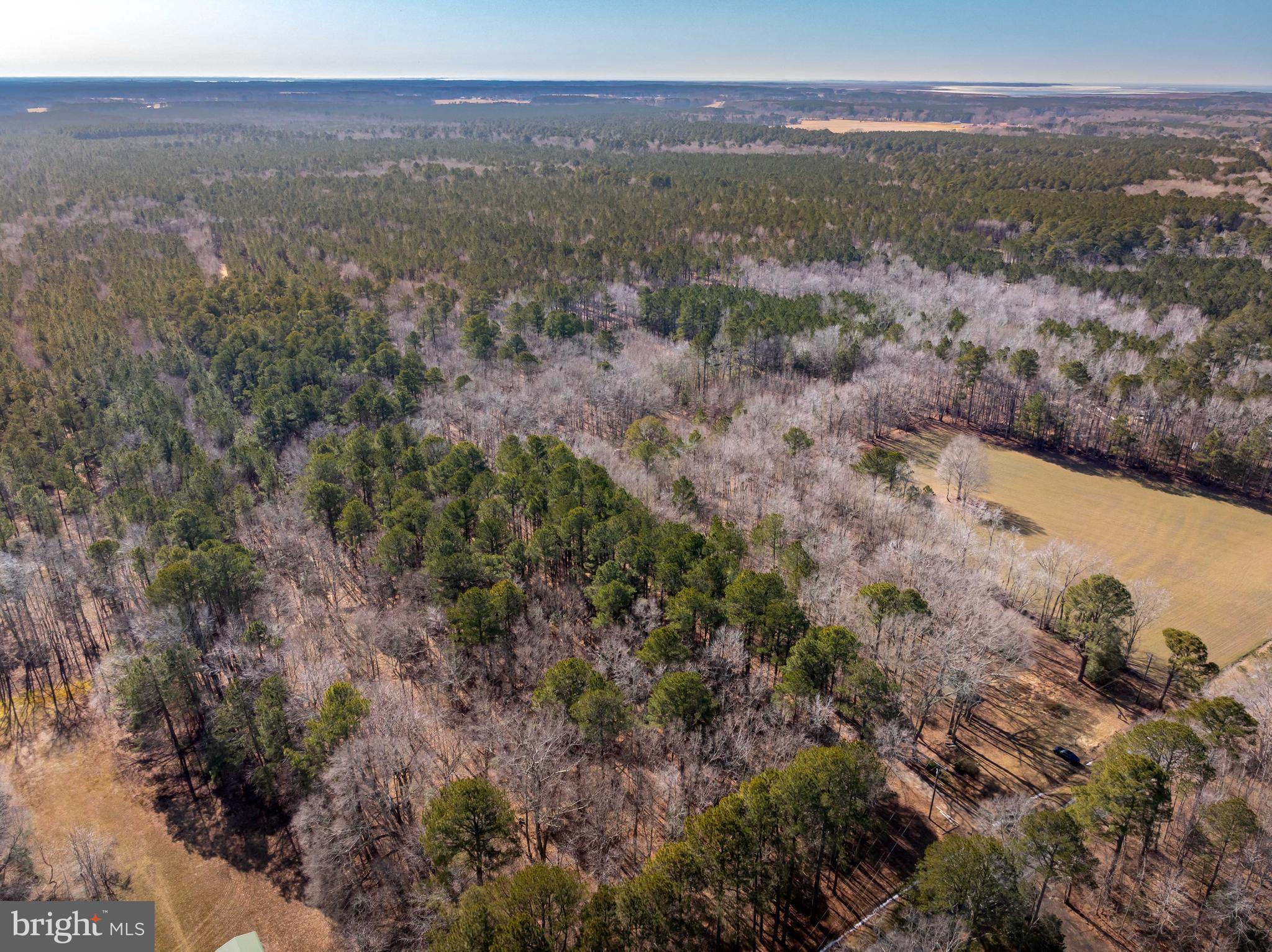 0 Polks Road Princess Anne, MD 21853 - Photo 8 of 18