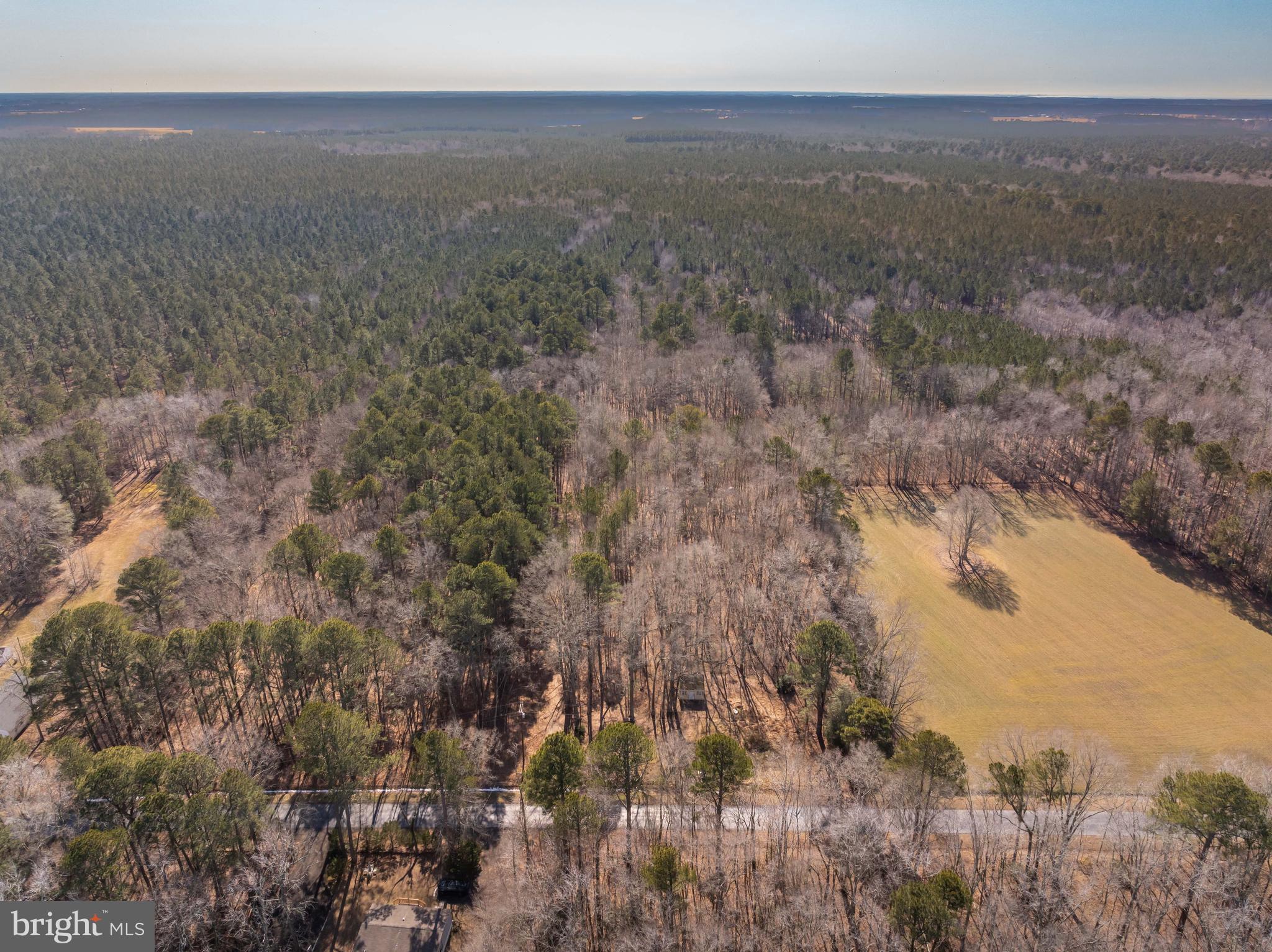 0 Polks Road Princess Anne, MD 21853 - Photo 10 of 18