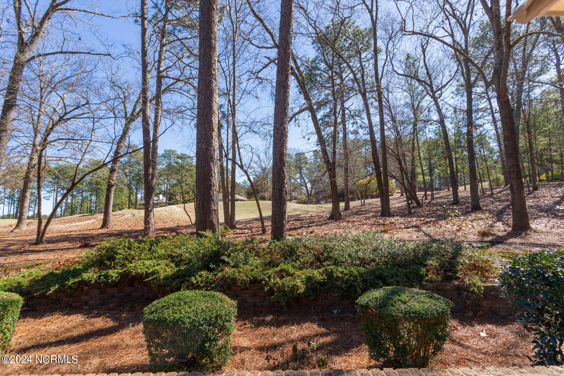 12 McNish Road Southern Pines, NC 28387 - Photo 30 of 33 backyard