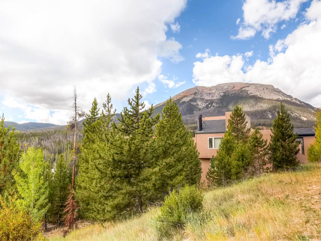 9490 Ryan Gulch Road, Unit 93 Silverthorne, CO 80498 - Photo 18 of 25 Gallery Image 18