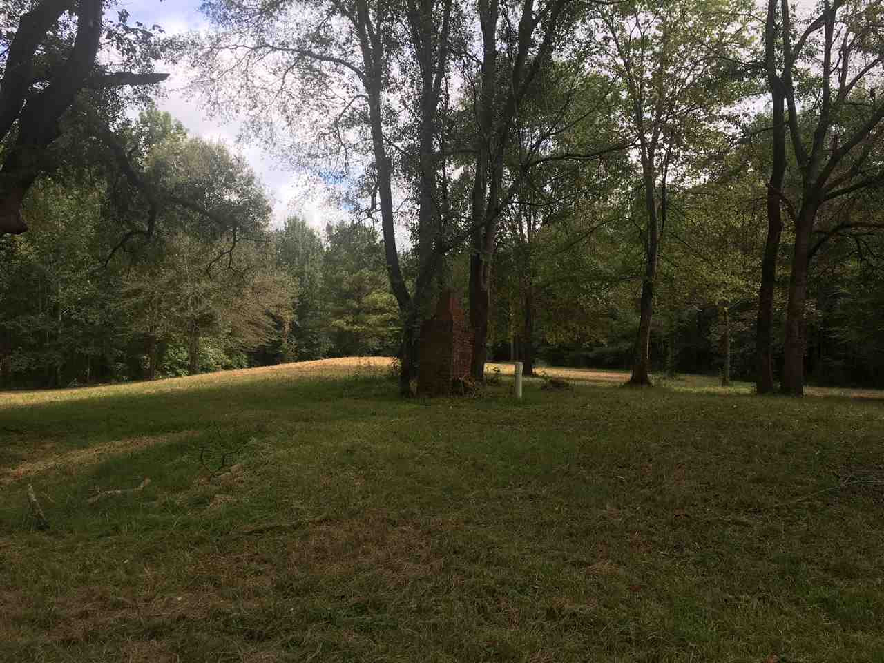 10475 Old Port Gibson Road Edwards, MS 39066 - Photo 2 of 13 Photo 5