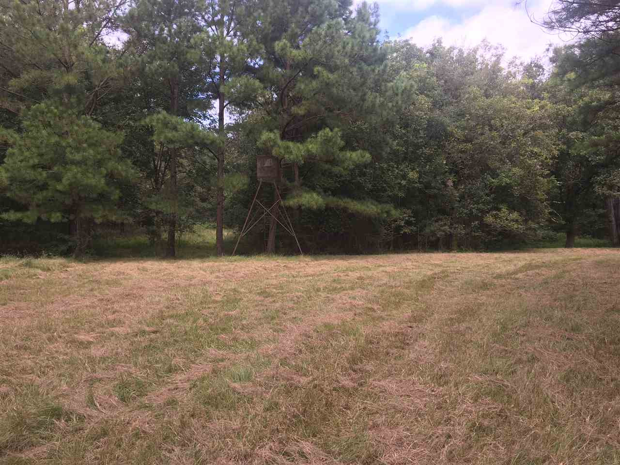 10475 Old Port Gibson Road Edwards, MS 39066 - Photo 4 of 13 Photo 7