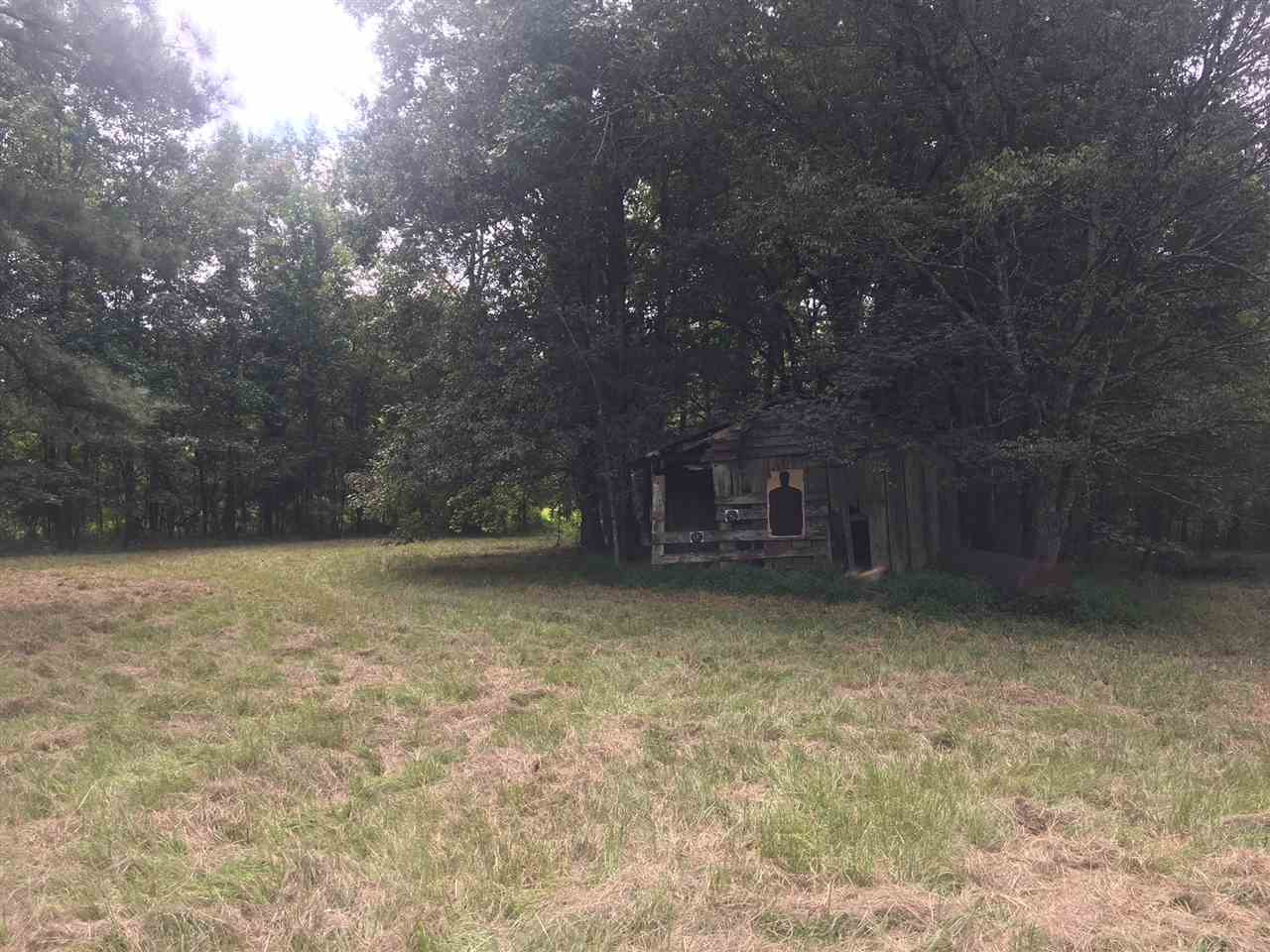 10475 Old Port Gibson Road Edwards, MS 39066 - Photo 5 of 13 Photo 8
