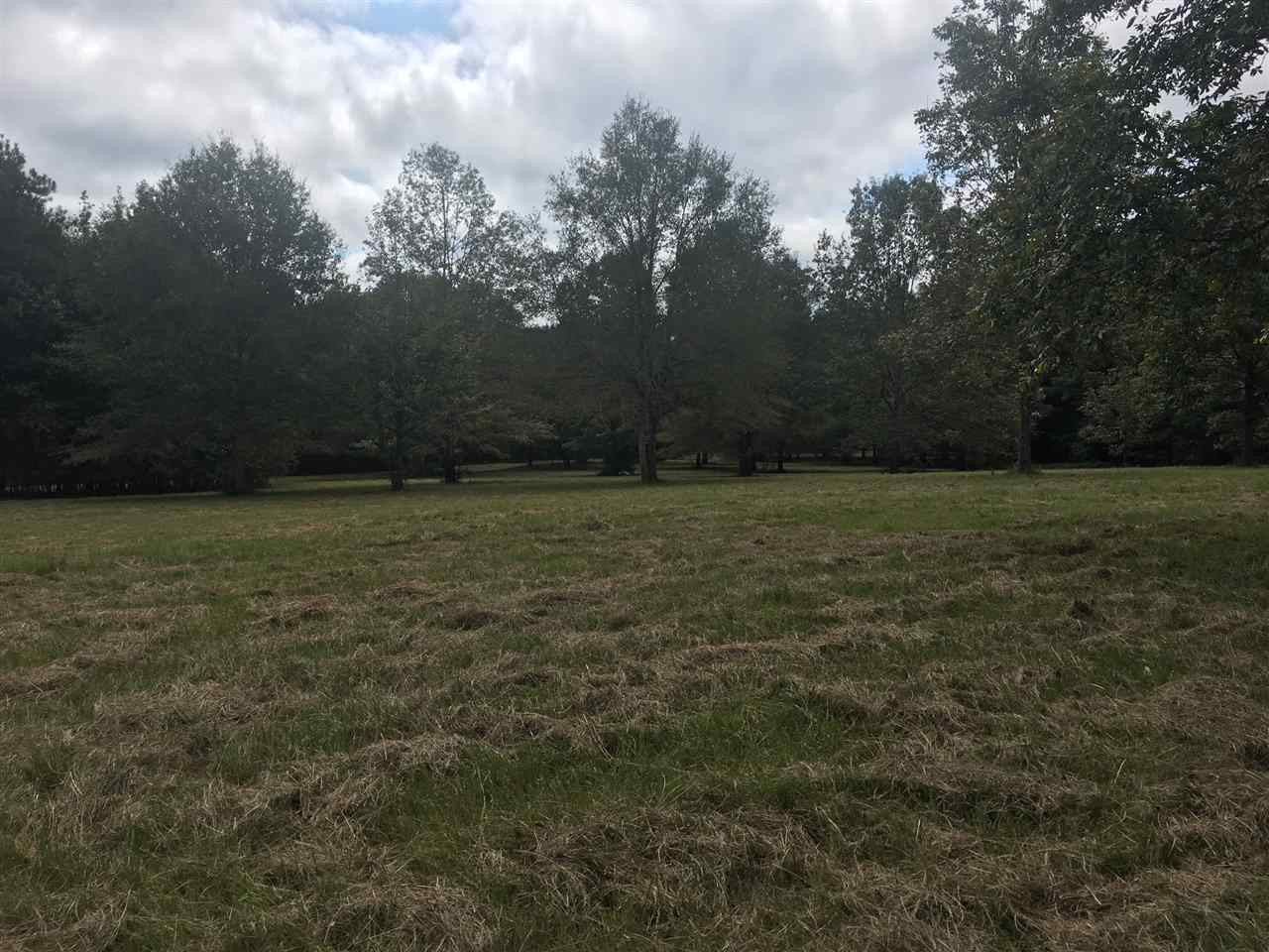 10475 Old Port Gibson Road Edwards, MS 39066 - Photo 10 of 13 Photo 13