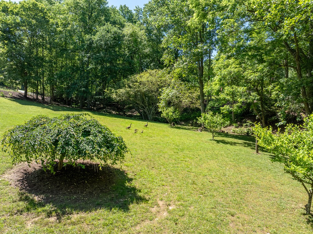 724 Fish Cove Road Blairsville, GA 30512 - Photo 12 of 91 Gallery Image 12