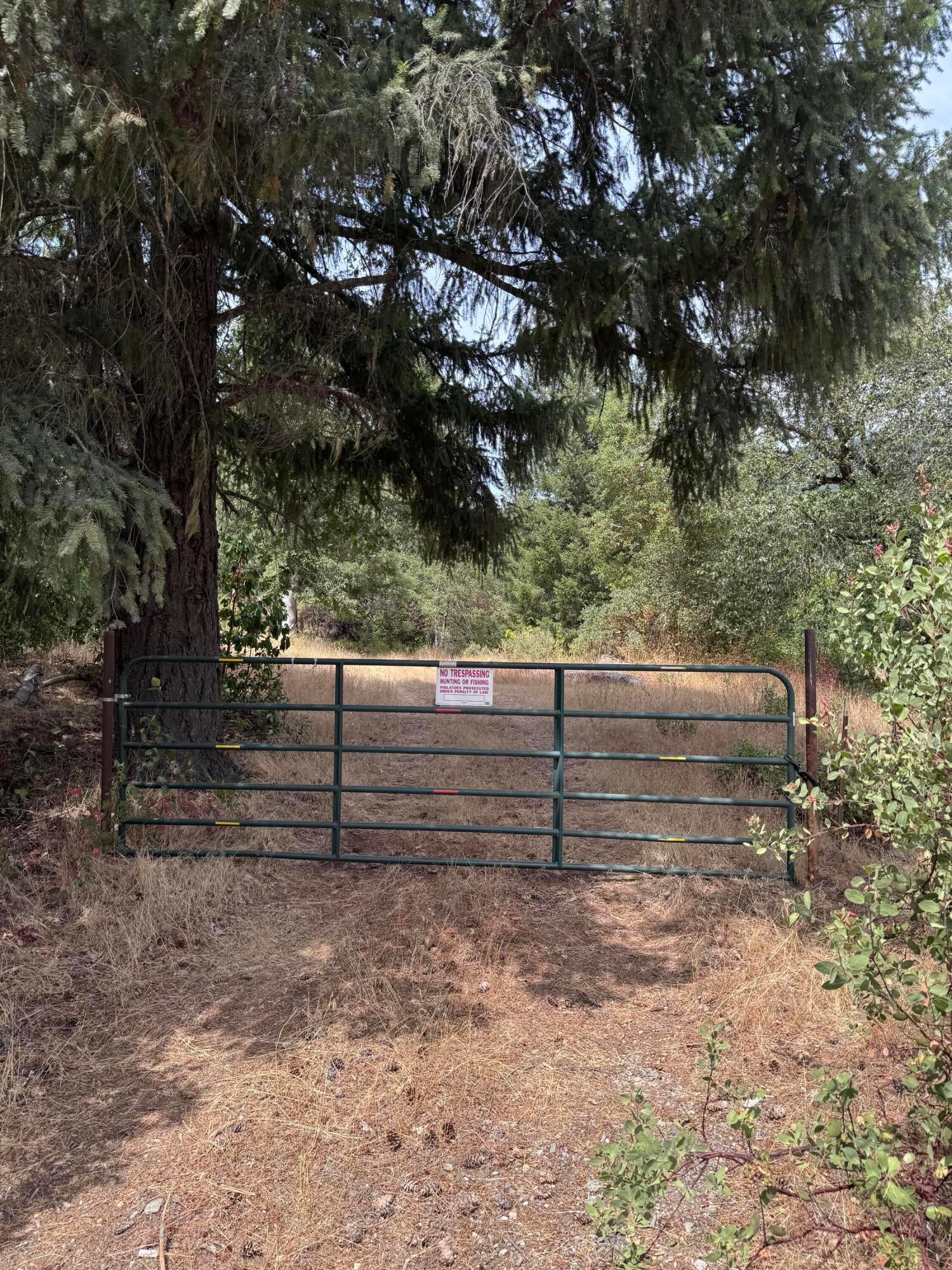 331 Lamb Road Mad River, CA 95552 - Photo 5 of 11 Gallery Image 5