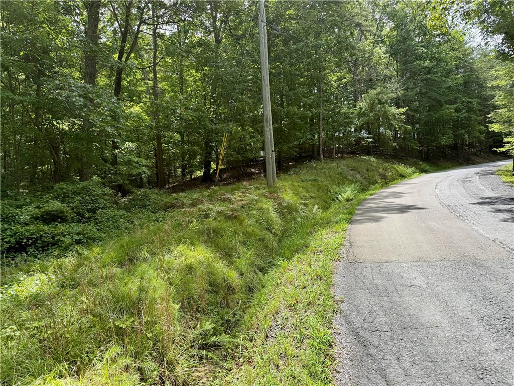 Lot 7 Stirratt Road Ranger, GA 30734 - Photo 2 of 20 Gallery Image 2