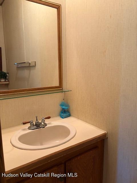 37 Willow Brook Farm Road Athens, NY 12414 - Photo 19 of 26 a bathroom with a sink and a mirror